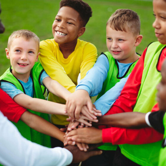 bpjeps encadrement éducateur sportif