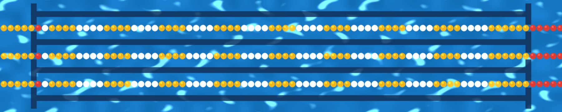 Lignes de nage d'un bassin vu du dessus